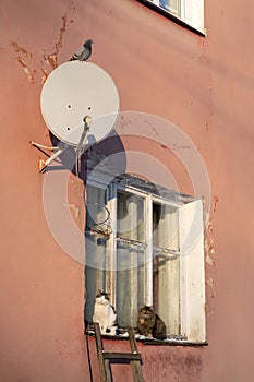 Exterior of old apartment house with wooden window, satellite dish and ragged paint in village