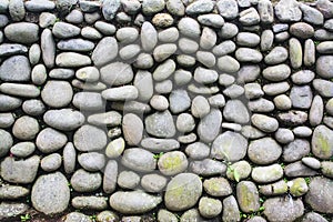 Exterior Pebble Stone Wall with Weed and Moss Grow On it. Texture Background.