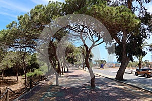 .Exterior promenade of Alfonso XIII Park of Guardamar del Segura, Alicante, Spain photo