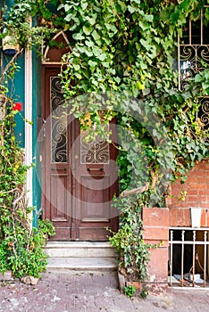 Exterior shot of decorated wooden door, covered with green dense climber plants, in a red brick wall, on city street