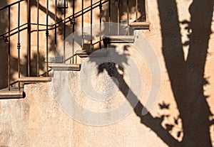Exterior stairs and tree shadow