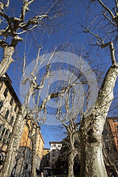 Exterior of typical Italian buildings in on Piazza Napoleone. Lucca, Tuscany, Italy