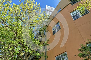 Exterior view of a building with colorful wall against trees and blue sky