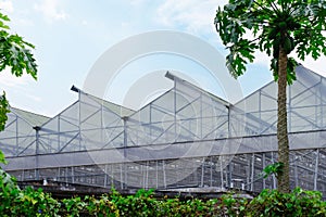 Exterior view of a commercial vertical farm in Singapore. To maximise land for food production, vegetables are grown in A-shaped