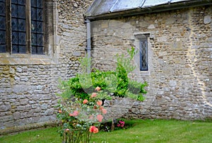 Exterior view of an old, medieval Church seen with a some rose bushes near the porch entrance.