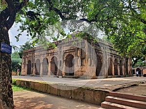 Historical Building with Arched Facade and Green Trees
