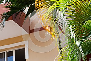 Exterior View of Tropical villa, modern architecture, and tropical plants.