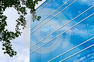 Exterior view of typical blue glass facade of generic modern office building. Green tree leaves. Sky reflection