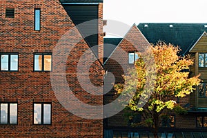 Exterior view of the University of Illinois at Urbana-Champaign in the United States photo