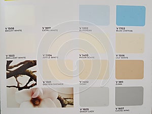 Exterior wall paint color of choice