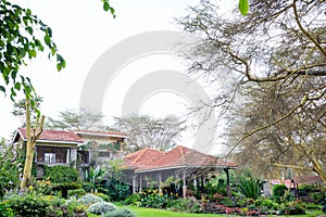 Exteriors Landmark Home House Buildings Flowers Gardens plants trees Nature fields meadows in Naivasha Nakuru City County Kenya