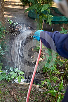 exterminate termite control company employee is using termite sprayer at customer's house and searching for termite nests to photo