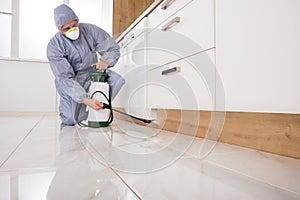 Exterminator Spraying Pesticide In Kitchen