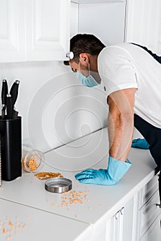 Exterminator standing near kitchen cabinet and