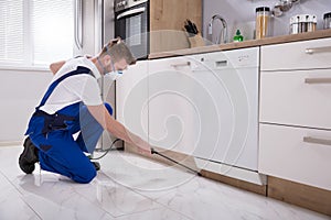 Exterminator Worker Spraying Insecticide Chemical photo