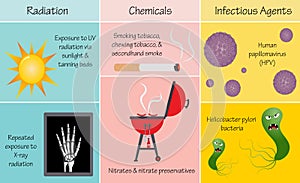 External causes of mutations