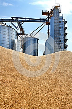 External construction, storage and drying of grain, wheat, corn, soybeans on the background of granaries