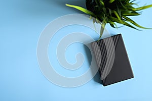 External hard drive black color and green plant on blue background. space for text