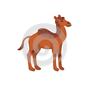 Extinct animals. Camelops, western camel. Prehistoric extinct american one-humped camel. Flat style vector illustration