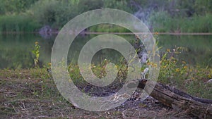 An extinct bonfire in the camp by the lake. Light smoke from coals and an extinct fire