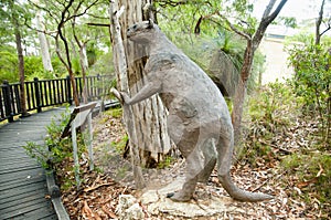 Extinct Procoptodon Goliah Kangaroo