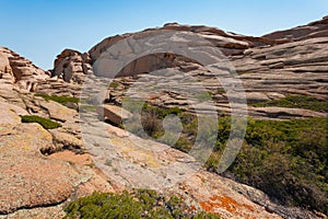 The extinct volcano of Bektau-Ata and a plant on a rock in the Asian desert