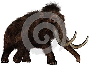 Extinct Woolly mammoth Elephant Isolated