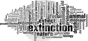 Extinction word cloud