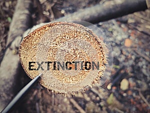 EXTINCTION word on wood. Stock photo.