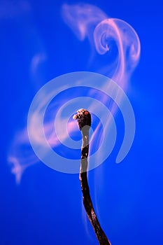 Extinguished Match On Blue