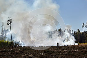 extinguishing the fire destroyed the forest