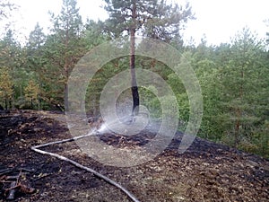 Extinguishing of forest fire