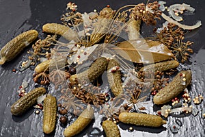 Extra Fine Cornichons - minuscule sour French pickles on natural stone background. Mini French style Gherkin Cucumbers