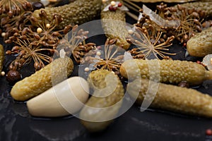 Extra Fine Cornichons - minuscule sour French pickles on natural stone background. Mini French style Gherkin Cucumbers