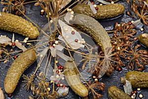 Extra Fine Cornichons - minuscule sour French pickles on natural stone background. Mini French style Gherkin Cucumbers