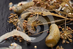 Extra Fine Cornichons - minuscule sour French pickles on natural stone background. Mini French style Gherkin Cucumbers