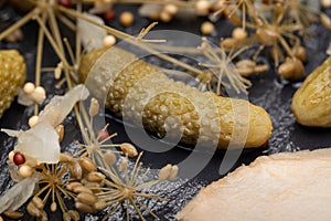 Extra Fine Cornichons - minuscule sour French pickles on natural stone background. Mini French style Gherkin Cucumbers