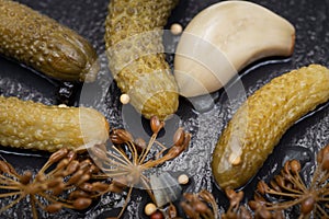 Extra Fine Cornichons - minuscule sour French pickles on natural stone background. Mini French style Gherkin Cucumbers