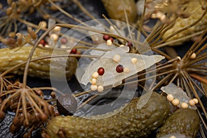 Extra Fine Cornichons - minuscule sour French pickles on natural stone background. Mini French style Gherkin Cucumbers