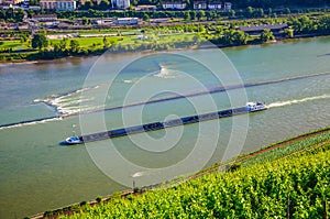 Extra long barge ship is transporting coal on Rhine river near B