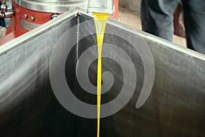 Extra virgin olive oil extraction process in olive oil mill