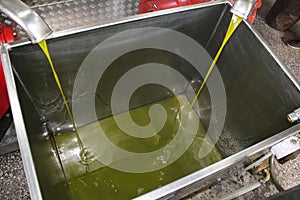 Extra virgin olive oil extraction process in olive oil mill