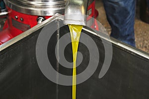 Extra virgin olive oil extraction process in olive oil mill