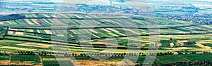 Extra wide panorama of small green fields as a quilt
