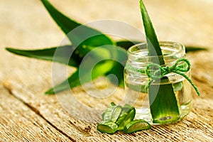 Aloe vera gel photo