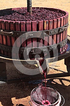 Extracting grape juice with old manual wine press