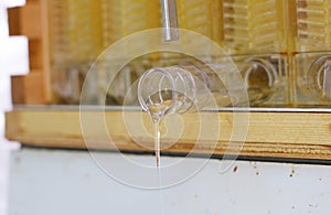 Extracting honey from beehive