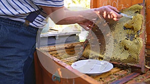 Extracting honeycomb from hive cluster