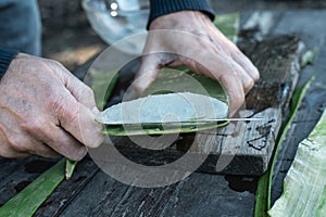 extracting the inner gel from a leaf of aloe vera