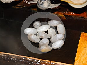 Extracting raw silk fibre from cocoons